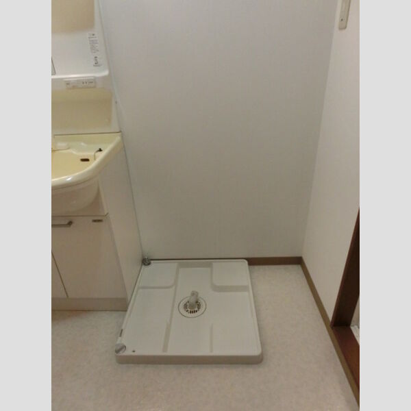 その他 (室内洗濯機置場)