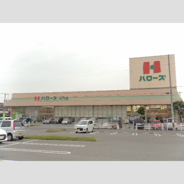 現地周辺 (ハローズ大門店350m)
