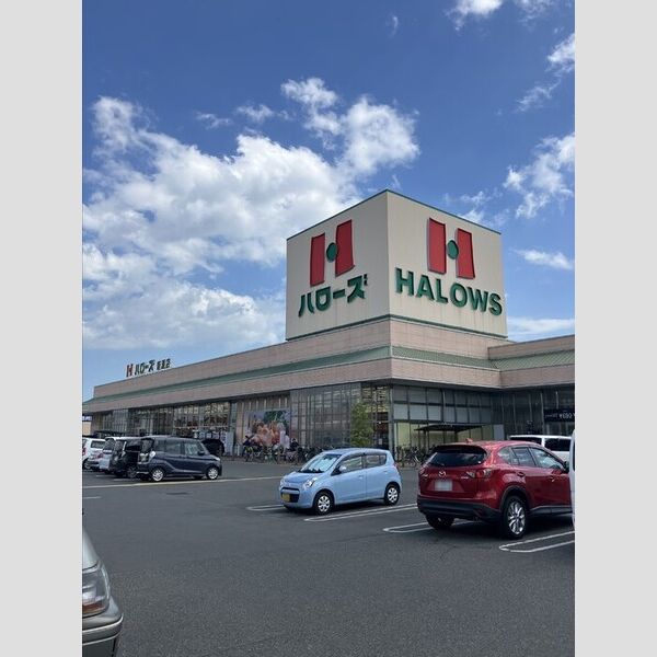 現地周辺 (ハローズ新涯店)