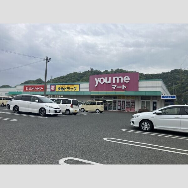 現地周辺 (ゆめマート府中)