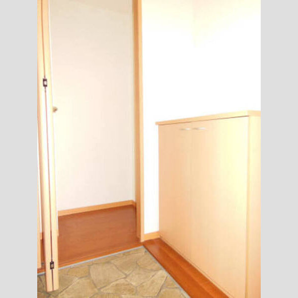 玄関 (203シューズBOX・玄関収納)