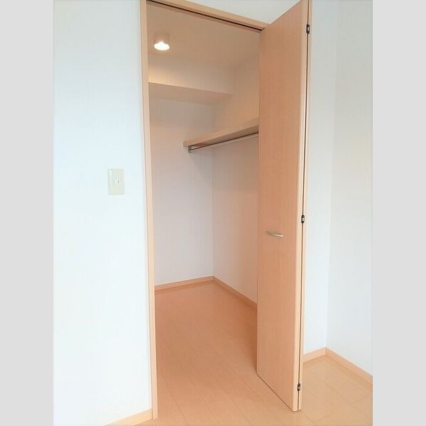 収納 (南西洋室ウォークインクローゼット)