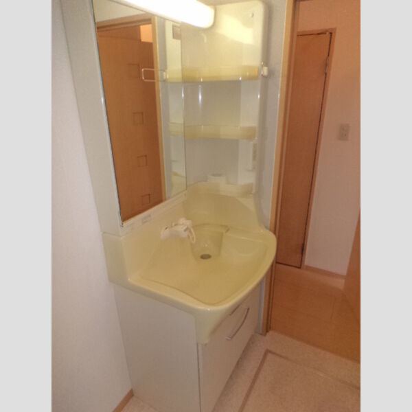 洗面所 (洗髪洗面化粧台)