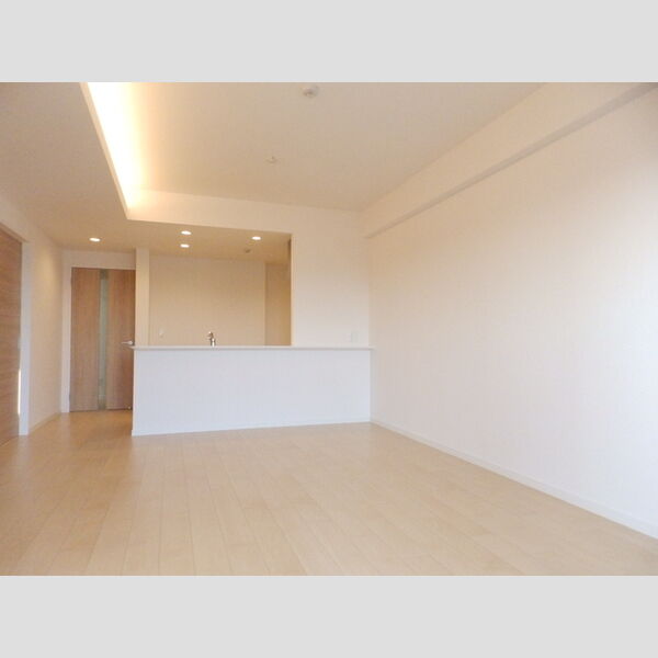 居室・リビング (LDK)