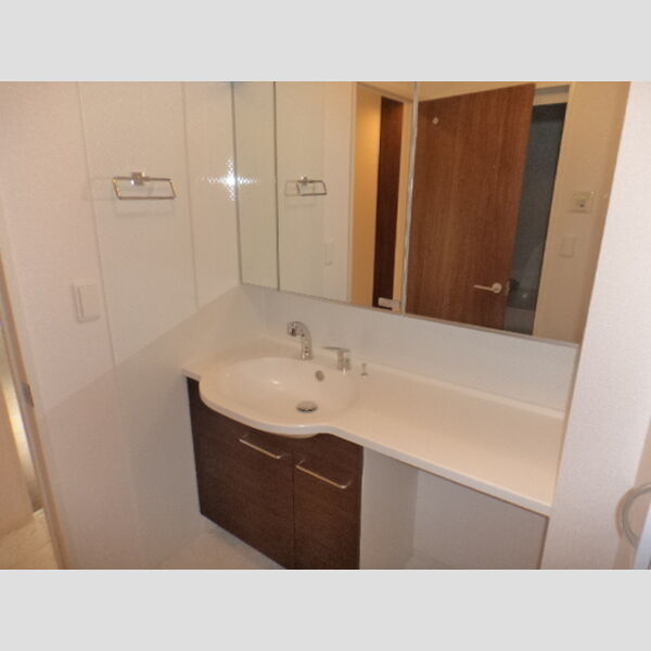 洗面所 (洗髪洗面化粧台)