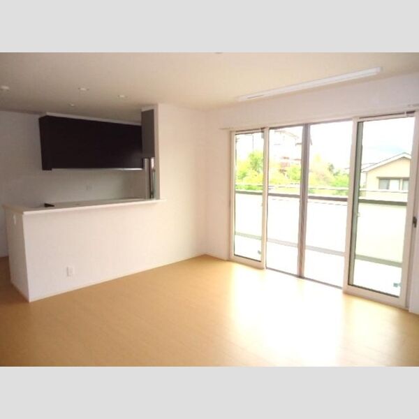 居室・リビング (LDK(システムキッチン・室内物干))