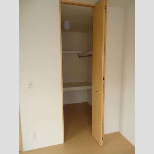 収納 (南洋室ウォークインクローゼット)