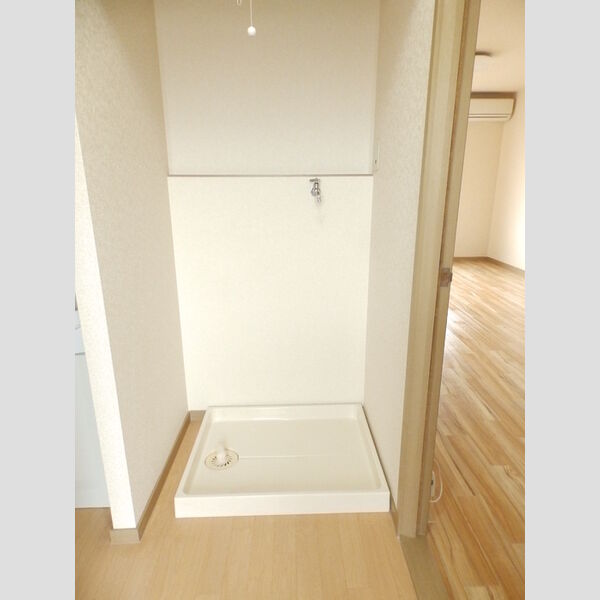 その他 (室内洗濯機置場)