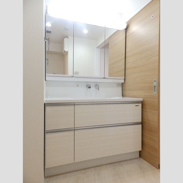 洗面所 (洗髪洗面化粧台)