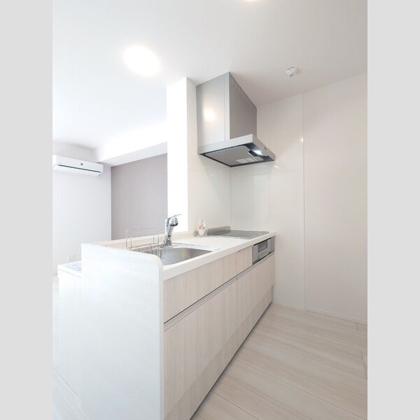 キッチン (対面カウンターシステムキッチン)