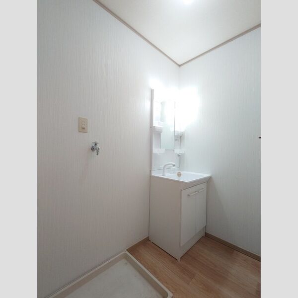 洗面所 (洗面室(洗髪洗面化粧台、洗濯機置場))