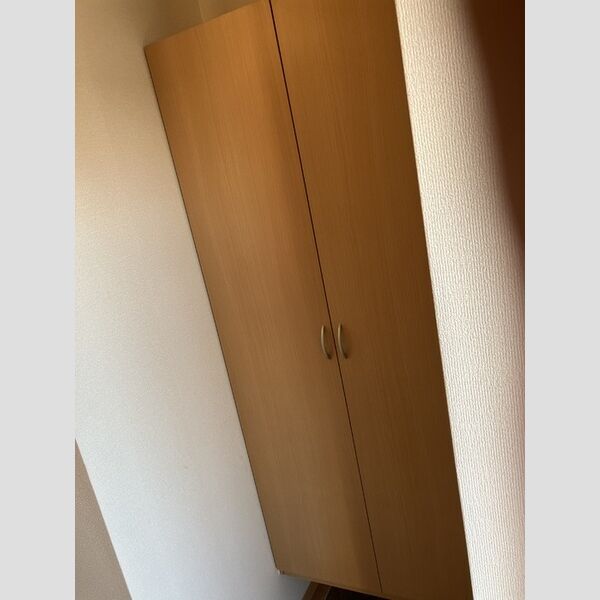 その他 (シューズボックス)