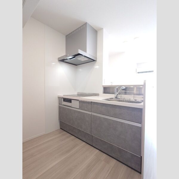 キッチン (スパイスニッチ付き対面カウンターシステムキッチン)