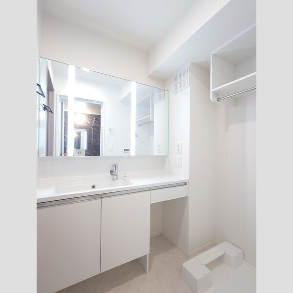 洗面所 (3面鏡キャビネット付き洗面台、室内洗濯機置き場)