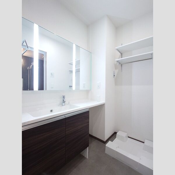 洗面所 (3面鏡キャビネット付き洗面台/室内洗濯機置き場)