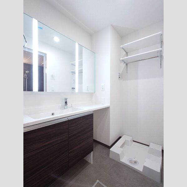 洗面所 (3面鏡キャビネット付き洗面台/室内洗濯機置き場)