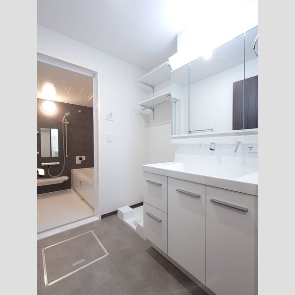 洗面所 (室内洗濯機置き場/3面鏡キャビネット付き洗面台)