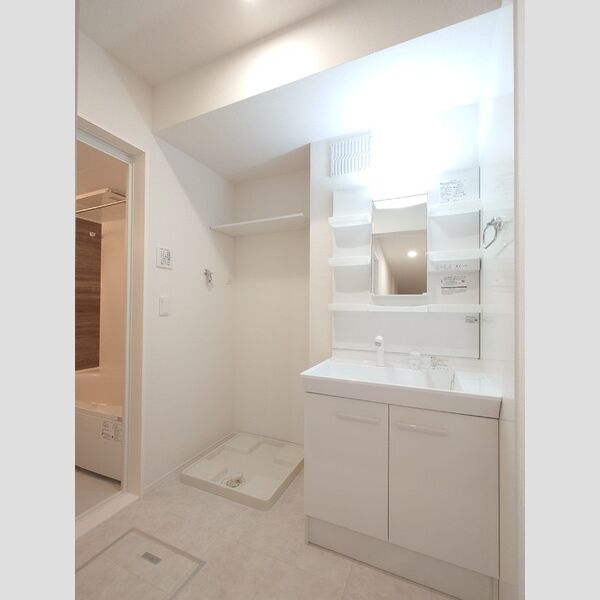 洗面所 (室内洗濯機置き場/洗面台)