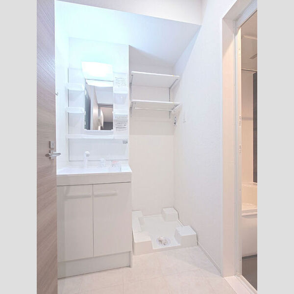 洗面所 (洗面台/室内洗濯機置き場)