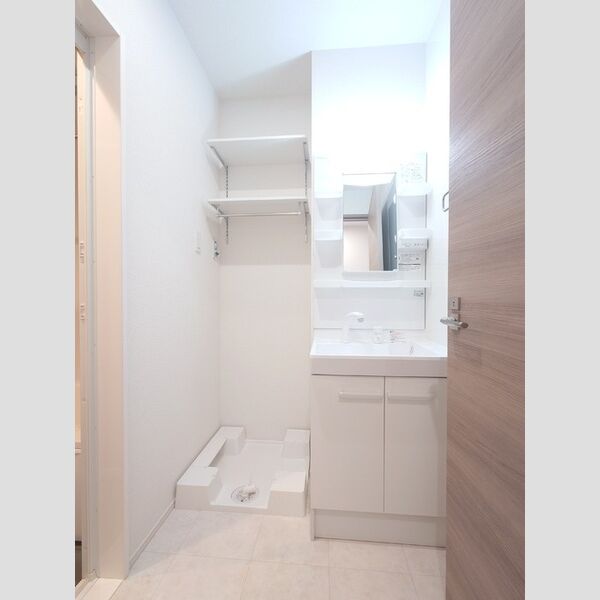 洗面所 (室内洗濯機置き場/洗面台)