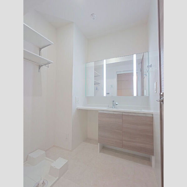 洗面所 (室内洗濯機置き場/3面鏡キャビネット付き洗面台)