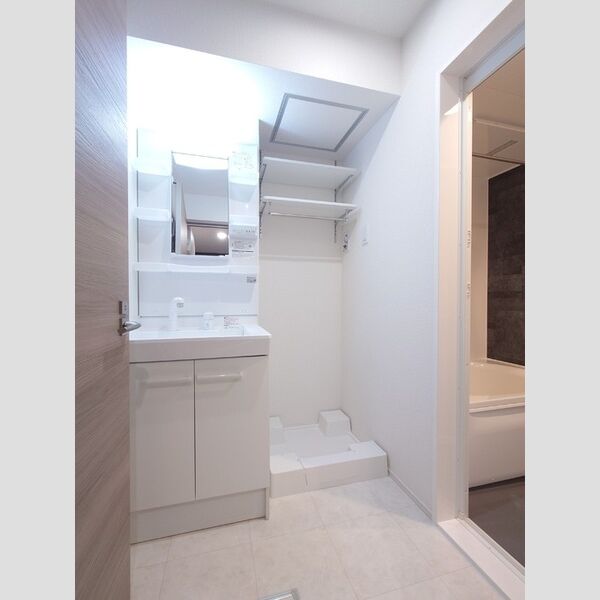 洗面所 (洗面台/室内洗濯機置き場)