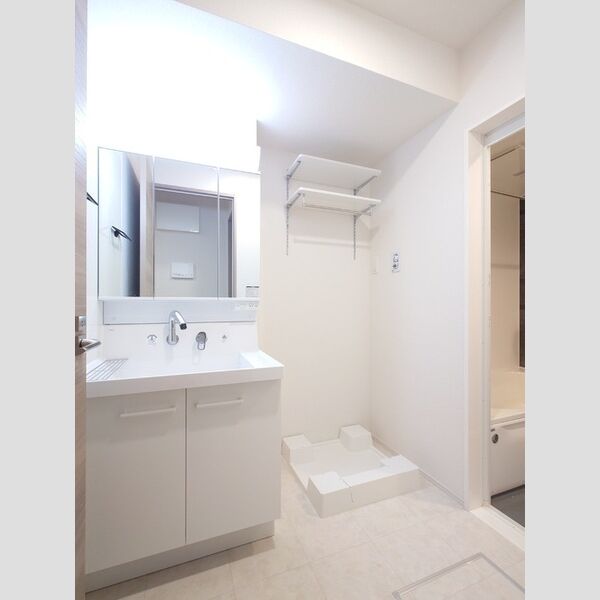洗面所 (3面鏡キャビネット付き洗面台/室内洗濯機置き場)