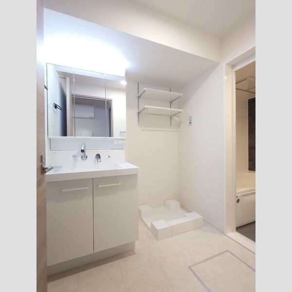洗面所 (3面鏡キャビネット付き洗面台/洗濯機置場)