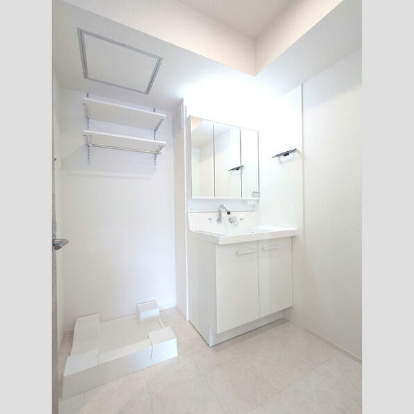 洗面所 (室内洗濯機置き場/3面鏡キャビネット付き洗面台)