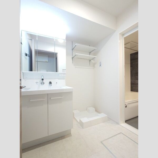 洗面所 (3面鏡キャビネット付き洗面台/室内洗濯機置き場)