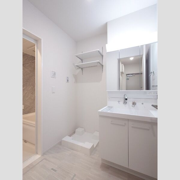 洗面所 (室内洗濯機置き場/3面鏡キャビネット付き洗面台)