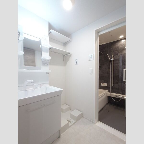 洗面所 (洗面台/室内洗濯機置き場)