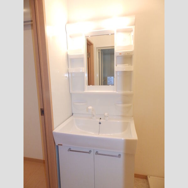 洗面所 (洗髪洗面化粧台)