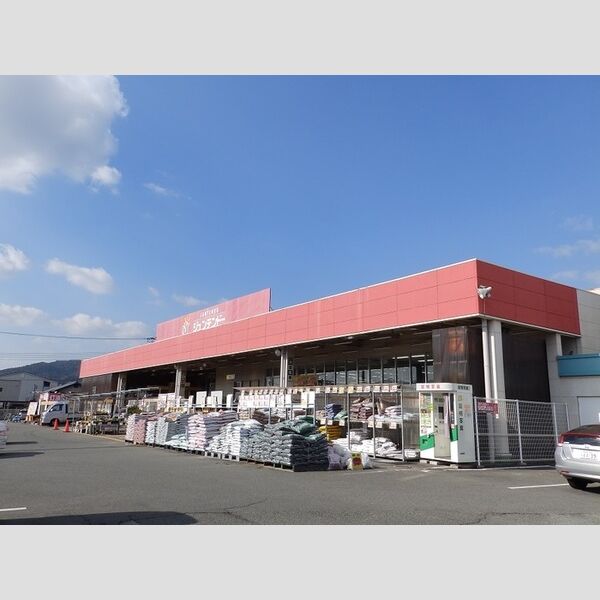 現地周辺 (ジュンテンドー湯田店(491m))