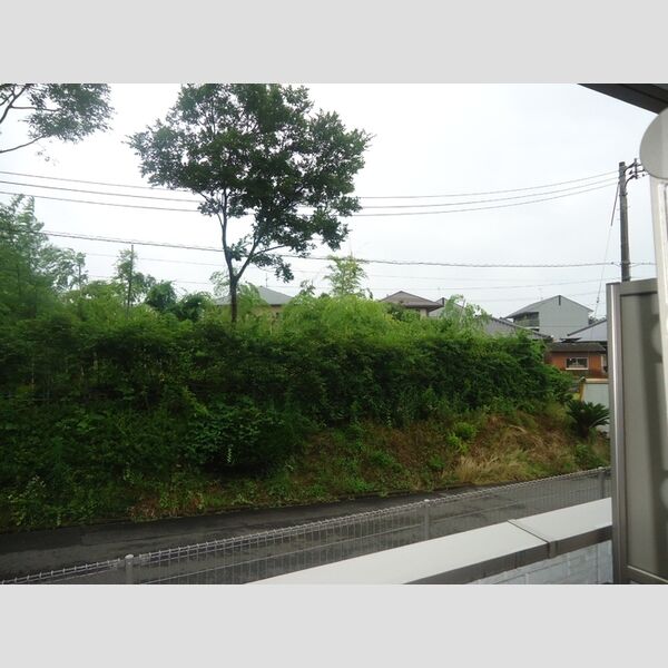 現地周辺 (テラスからの眺め)