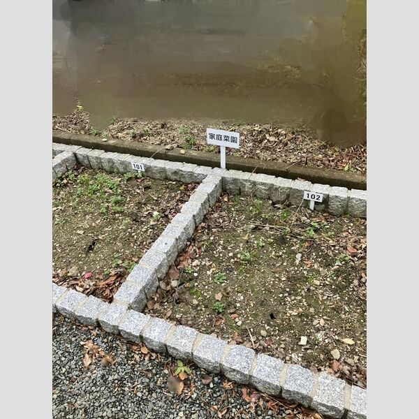現地周辺 (家庭菜園スペースあり)
