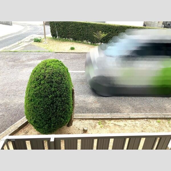 現地周辺 (眺望)