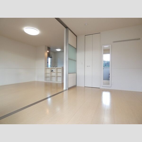 その他 (洋室　LDK)