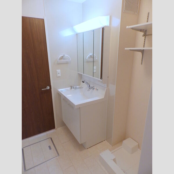 洗面所 (洗髪洗面化粧台)