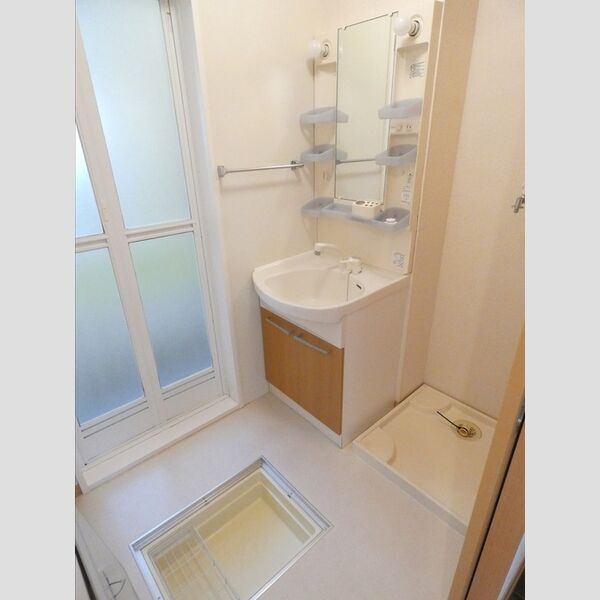 洗面所 (洗髪洗面化粧台　床下収納あり)