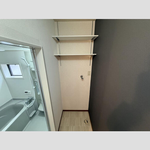 洗面所 (室内洗濯機置場)