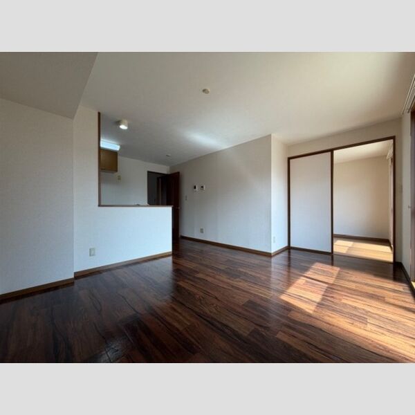 居室・リビング (LDK)