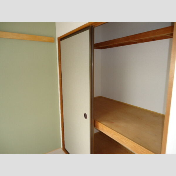 収納 (バルコニー側洋室収納)