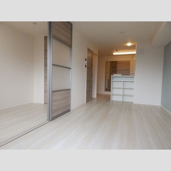 その他 (LDK　洋室)