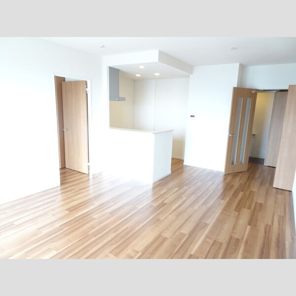 居室・リビング (LDK(15.7帖))