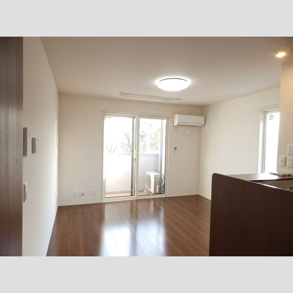 居室・リビング (LDK11帖(エアコン・照明・室内物干し・IHクッキングヒーター有))