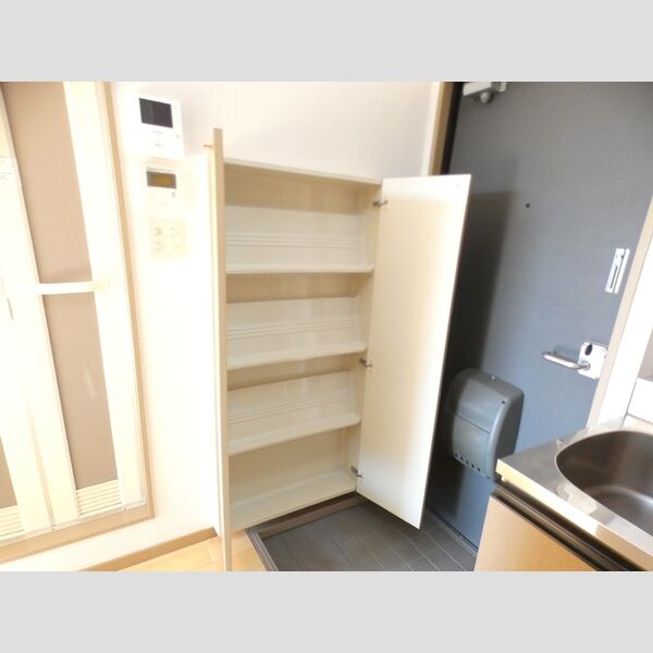 その他 (シューズボックス)