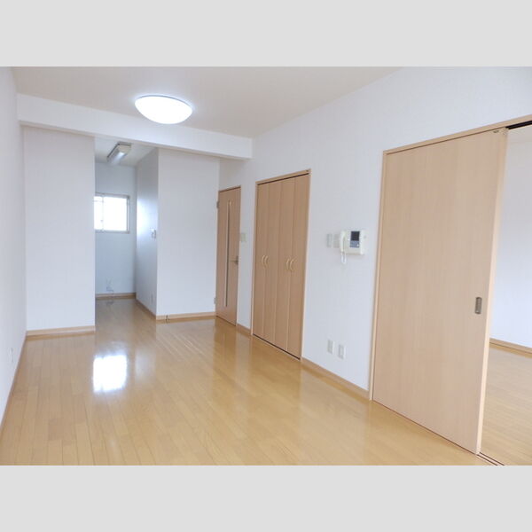 その他 (LDK　洋室)