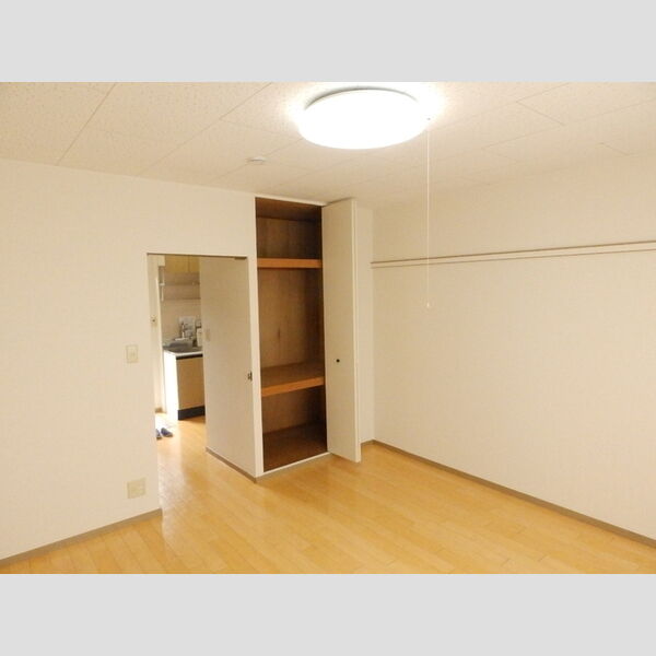 その他 (洋室収納)