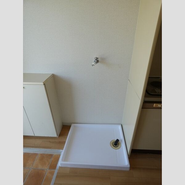 その他 (室内洗濯機置き場)